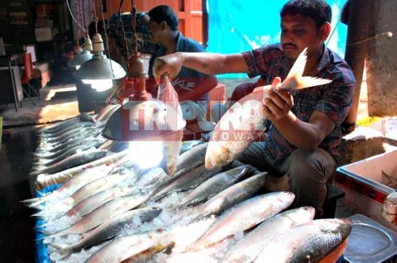 India-Bangladesh to extend fisheries pact : Tripura to benefit from Hilsa imports, Hilsa prices skyrocket across Tripura to Rs 2000 per kilo on Bengali new year